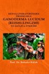 Dünya Literatüründen Örneklerle Ganoderma Lucidum (Reishi-lingzhi) Ve Sağlığa Etkileri