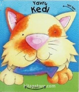 Yavru Kedi