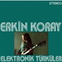 Elektronik Türküler (Plak)