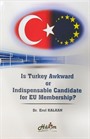 Is Turkey Awkward or Indispensable Candidate for EU Membership?