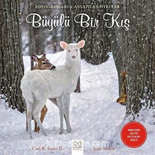 Büyülü Bir Kış