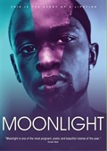 Moonlight - Ay Işığı (Dvd)