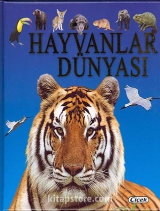 Hayvanlar Dünyası