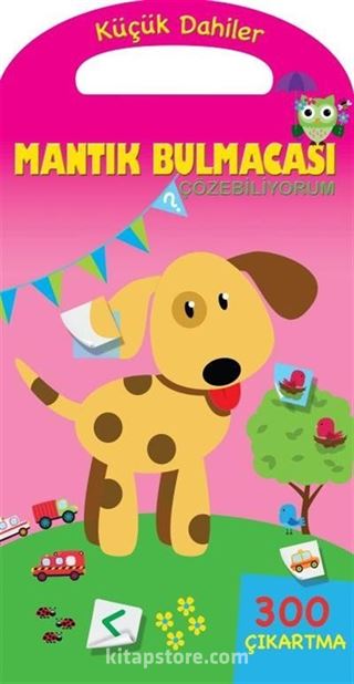 Küçük Dahiler / Mantık Bulmacası