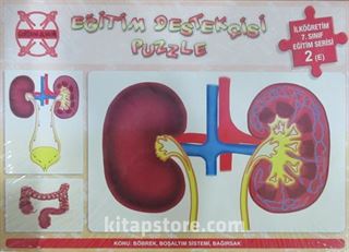 Eğitim Destekçisi Puzzle- İlköğretim 7. Sınıf Eğitim Serisi 2 (E) / Böbrek Boşaltım Sistemi Bağırsak 3x80 Puzzle