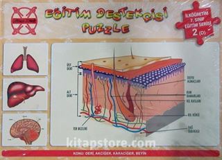 Eğitim Destekçisi Puzzle - İlköğretim 7. Sınıf Eğitim Serisi 2 (D) / Konu: Deri, Akciğer, Karaciğer, Beyin