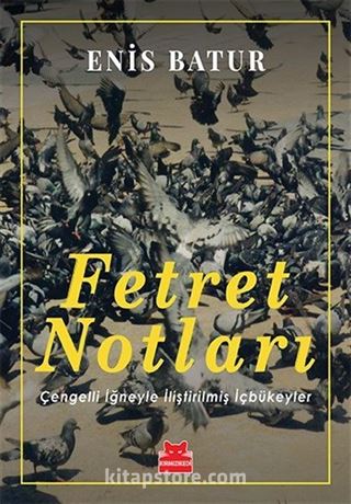Fetret Notları