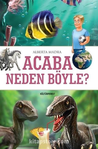 Acaba Neden Böyle ?