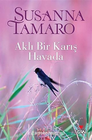 Aklı Bir Karış Havada
