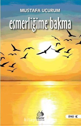 Esmerliğime Bakma