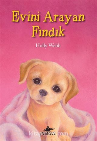 Evini Arayan Findık