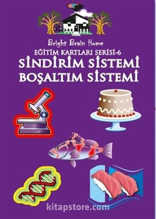 Sindirim Sistemi - Boşaltım Sistemi / Eğitim Kartları Serisi 6