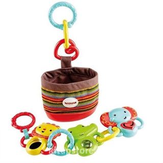 Fisher Price Çantalı Çıngırak Seti (DFP25)