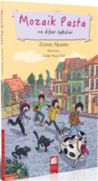 Mozaik Pasta ve Diğer Öyküler