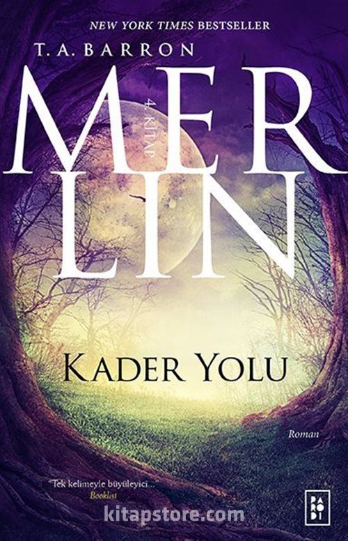 Karanlik Zihinler Set 1 2 3 4 Karanlik Zihinler Buz Kapani Ates Cemberi Karanligin Icinden Karanlik Zihinler Ara Kitap Alexandra Bracken Nadir Kitap