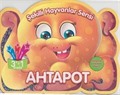 Ahtapot / Şekilli Hayvanlar Serisi