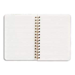 Fun Fun Fun (Defter)