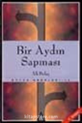 Bir Aydın Sapması