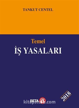 Temel İş Yasaları