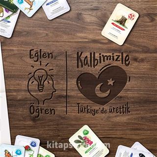 Ekosistem Besin Zinciri Kutu Oyunu