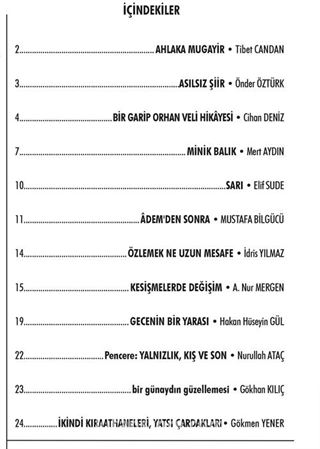Keşke İki Aylık Düşünce ve Edebiyat Dergisi Sayı:33 Ocak-Şubat 2019