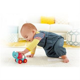 Poppity Araçlar Sevimli Fil (BGX29)