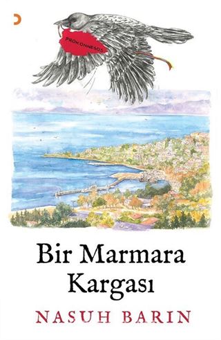 Bir Marmara Kargası