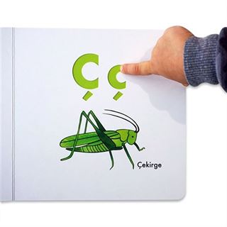 Şerif Hayvanlar Aleminde Alfabe Kitabı / İlk Kitabım