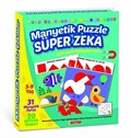 Manyetik Puzzle Süper Zeka (IQ1536)