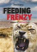 Feeding Frenzy - Aslanlar Arasında (Dvd)
