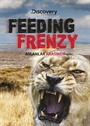 Feeding Frenzy - Aslanlar Arasında (Dvd)