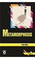 Metamorphosıs / Stage 4