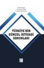 Türkiye'nin Güncel İktisadi Sorunları