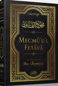 Mecmu'u'l Fetava (8. Cilt)