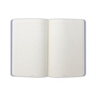 Pastel Çizgili Twins (2 Defter Takım)