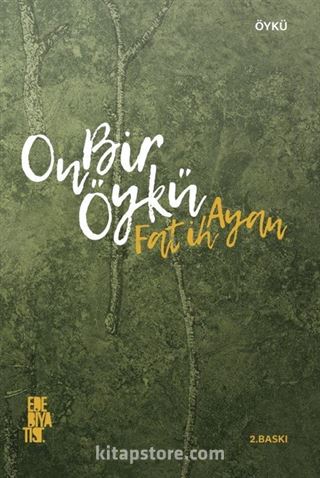 On Bir Öykü