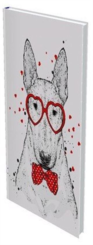 Mahzen Defter 45