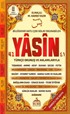 41 Yasin Rahle Boy (Şamua) (Kod:105)