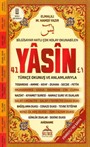 41 Yasin Rahle Boy (Şamua) (Kod:105)