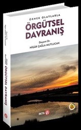 Örnek Olaylarla Örgütsel Davranış