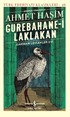 Gurebahane-i Laklakan Gariban Leylekler Evi (Günümüz Türkçesiyle)