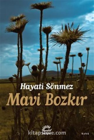 Mavi Bozkır