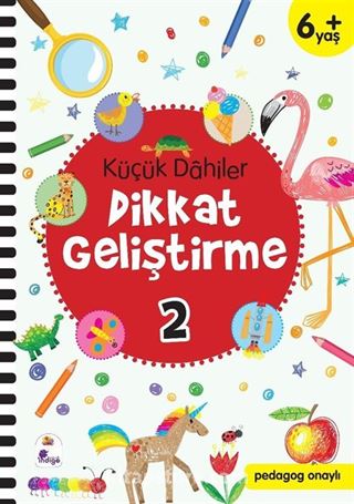 Küçük Dahiler Dikkat Geliştirme 2 (6+ Yaş )
