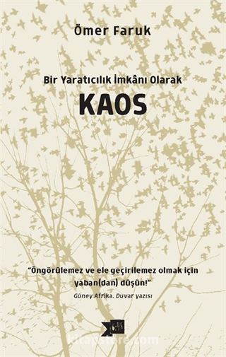 Bir Yaratıcılık İmkanı Olarak Kaos