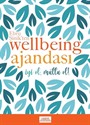 Ebru Şinik'ten Wellbeing Ajandası (Mavi)