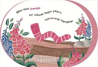 Renkler Kitabı / Şerif Hayvanlar Aleminde