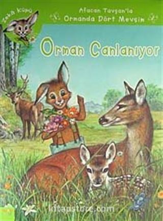 Afacan Tavşanla Ormanda Dört Mevsim Zeka Küpü Seti (4 Kitap)