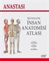 Anastasi Sistematik İnsan Anatomisi Atlası