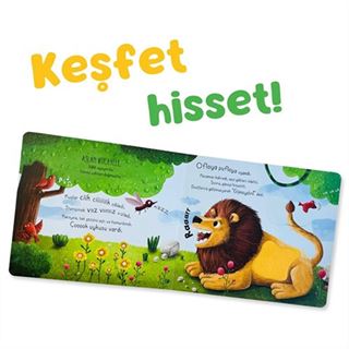 İlk Dokun Hisset Kitabım - Ormana Dokun