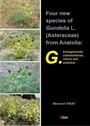Four New Species Of Gundelia L. (Asteraceae) From Anatolia